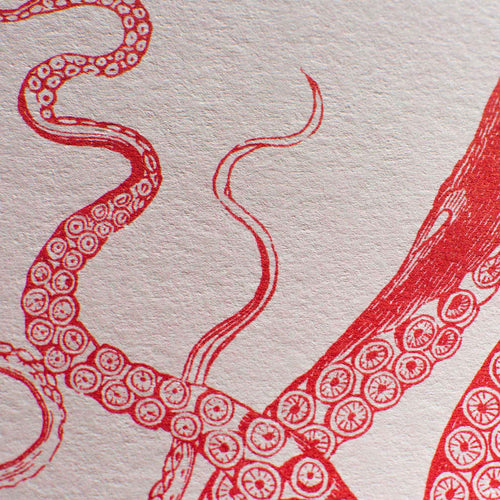 Vue complémentaire : Artprint Poulpes – Donkey Products
