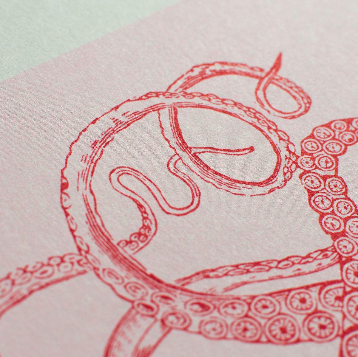 Vue complémentaire : Artprint Poulpes – Donkey Products