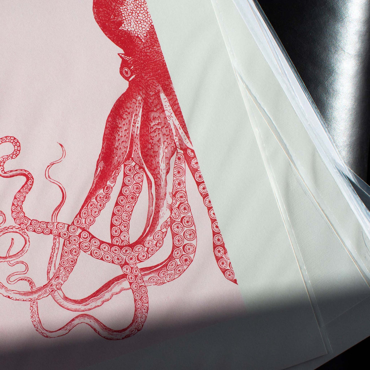 Kunstdruck Oktopusse