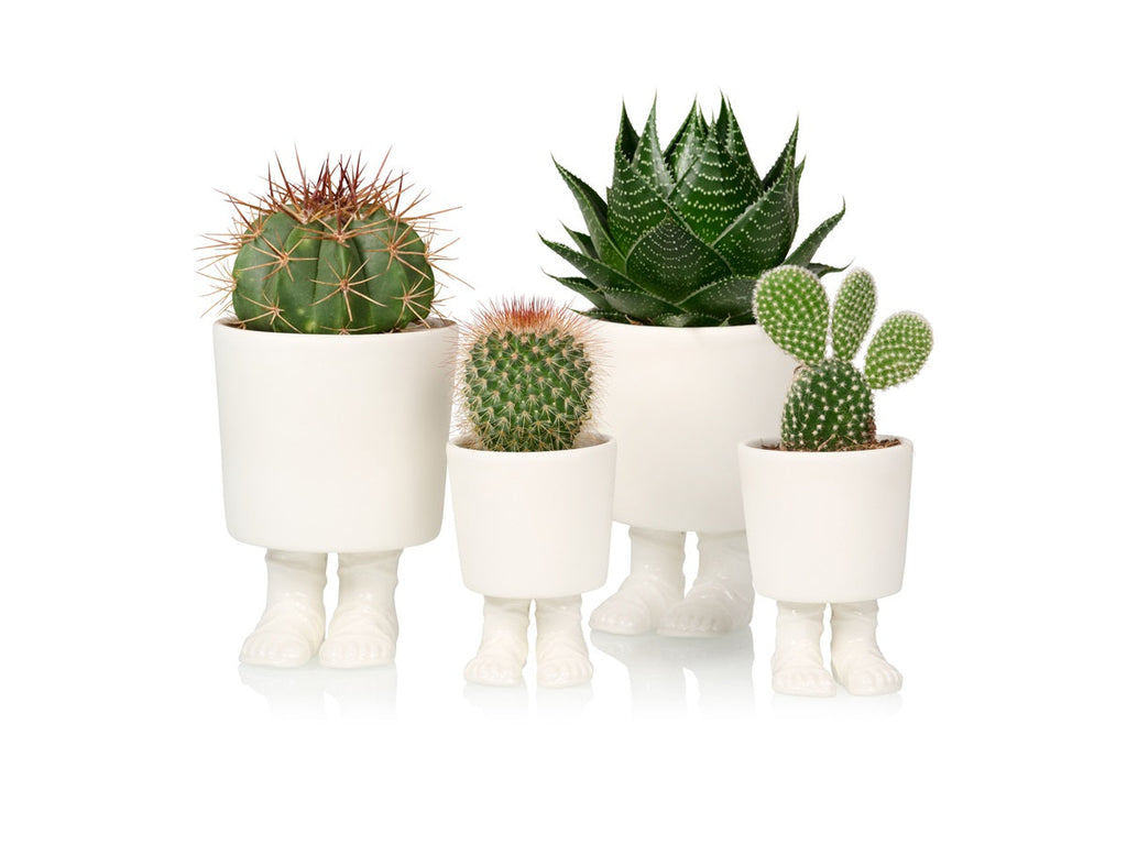 Regalo de diseño – pot de fleur sandales de gladiateur bitten