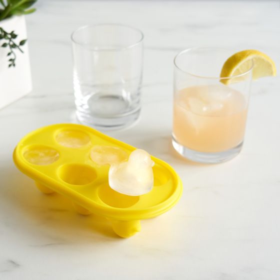 bac a glacons canard de bain