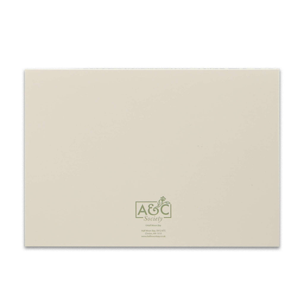 Coffret de 12 cartes et enveloppes Rasp / Sage