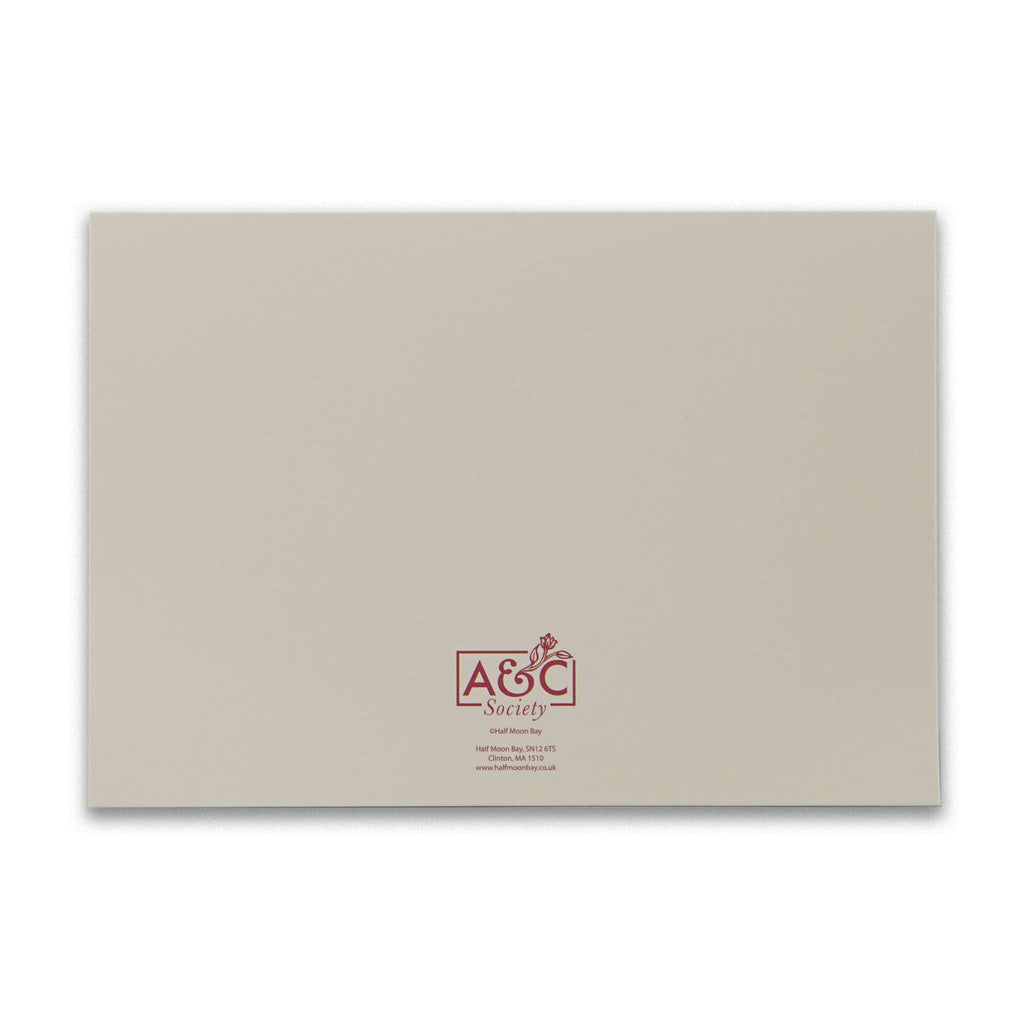 Coffret de 12 cartes et enveloppes Iris/Bthorn/Meadow Flower
