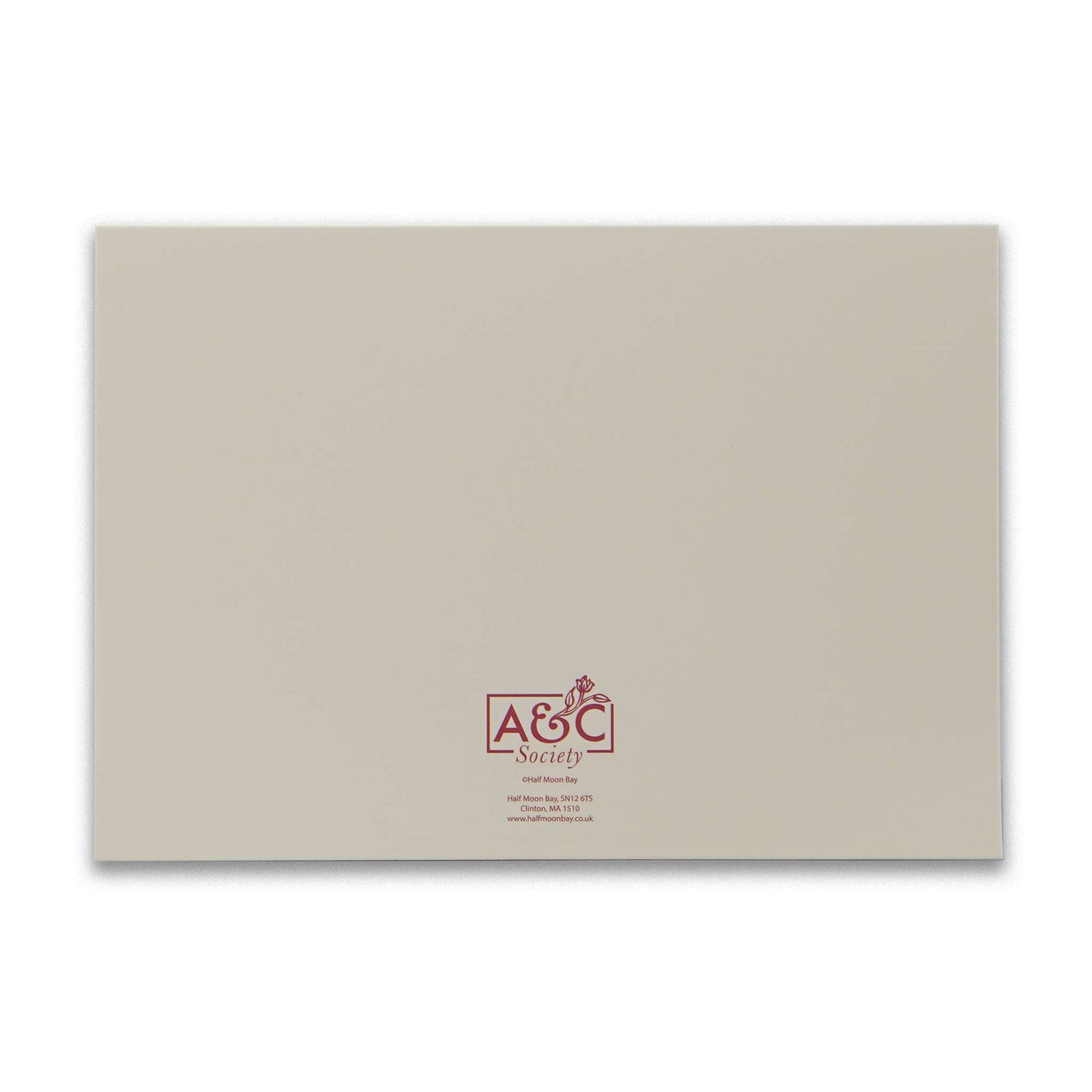 Coffret de 12 cartes et enveloppes Iris/Bthorn/Meadow Flower