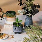 Vase Mojave Chat
