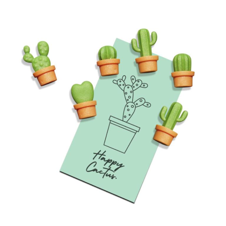 Regalo de diseño – magnets cactus cacnet qualy 