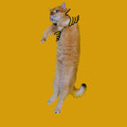 Chaussettes Brodées Chat Grincheux