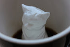Mug Surprise Animaux