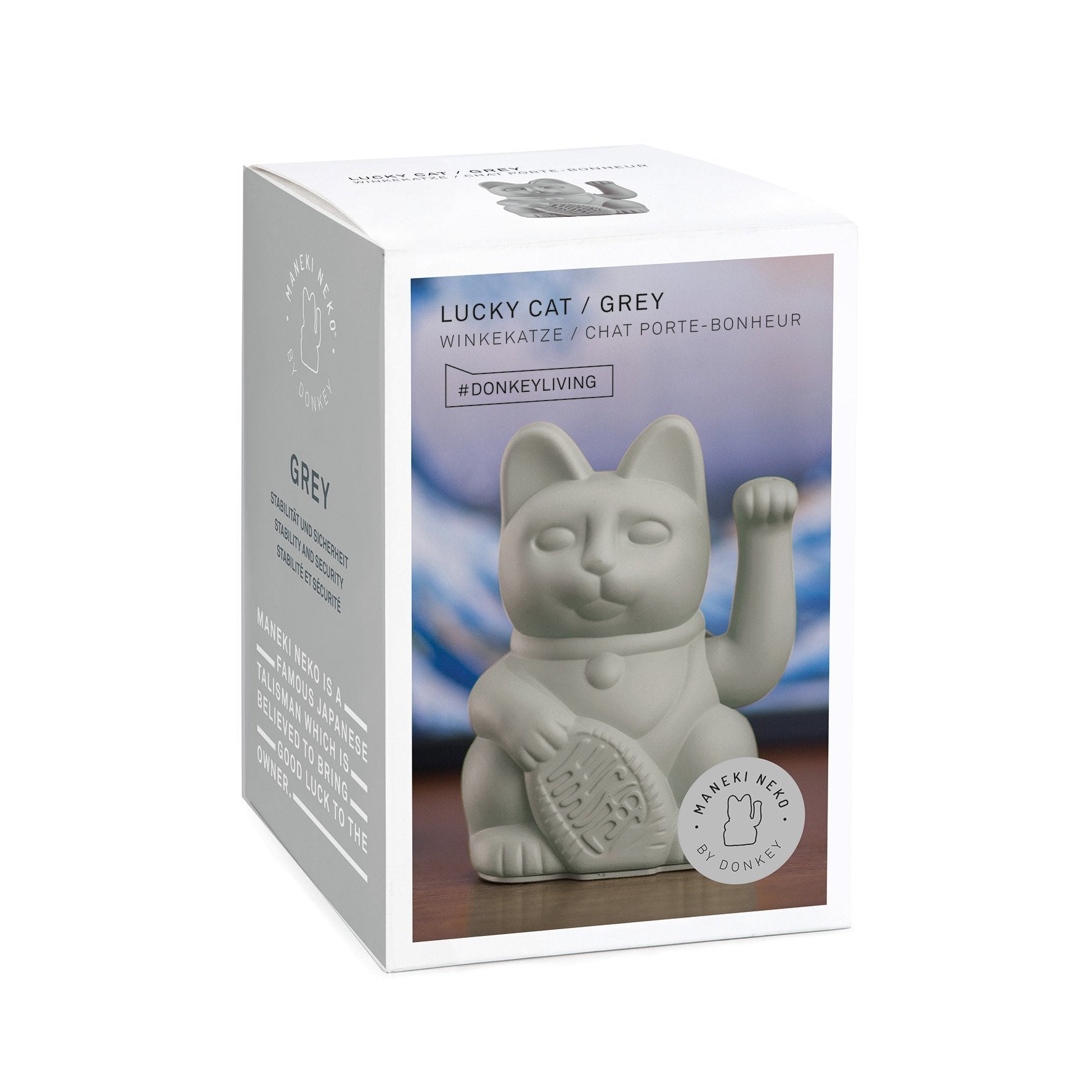 chat chanceux gris donkey 
