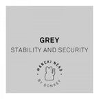 chat chanceux gris donkey 