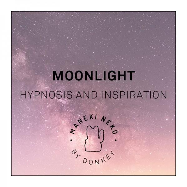 Oggetto regalo di design – chat chanceux moonlight donkey 