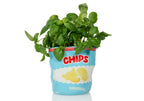 Pot de Fleur Chips en Céramique – Bitten