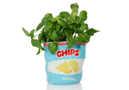 Pot de Fleur Chips en Céramique – Bitten
