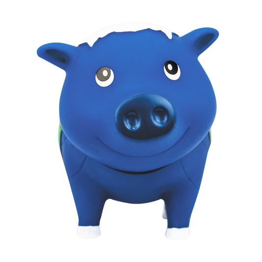 Pig Globe Terrestrial