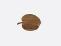 Secret board Monstera