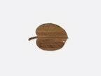Secret board Monstera
