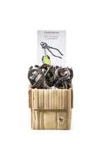 Regalo de diseño – decapsuleur outil cle anglaise donkey 