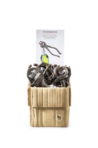 Regalo de diseño – decapsuleur outil marteau donkey 