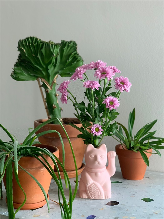 diffuseur de parfum chat chanceux rose bitten 