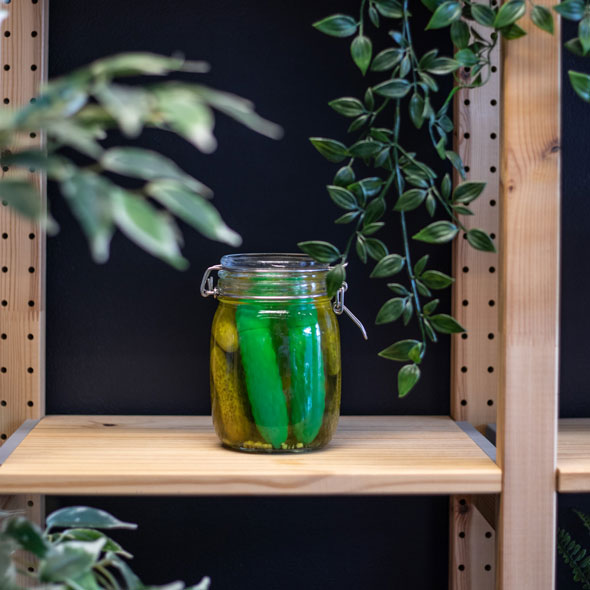 The Vibrant Emoji Pickle