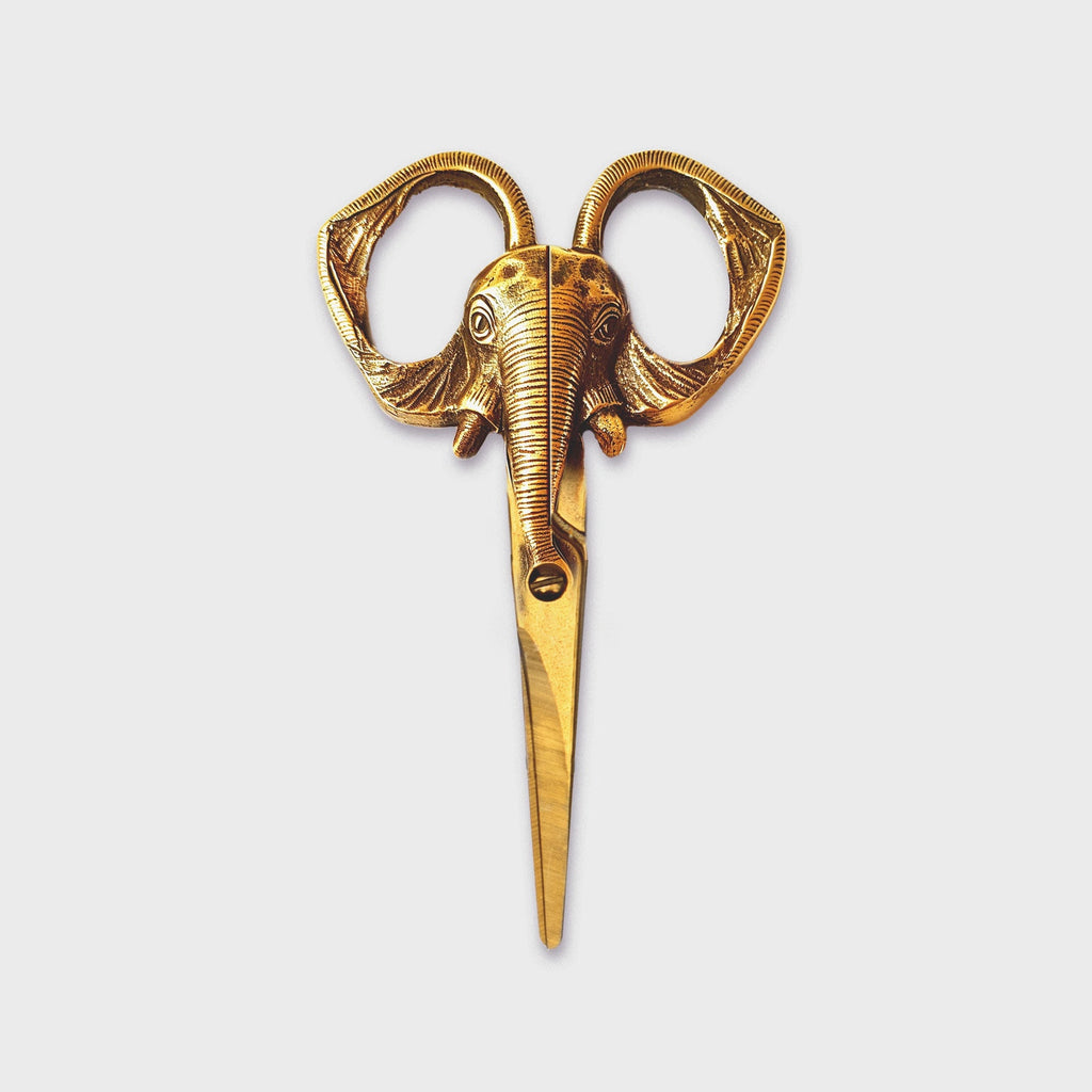 Jumbo Scissors