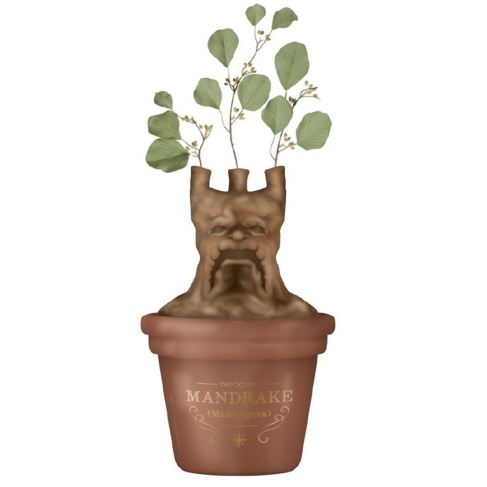 Vase Mandragore