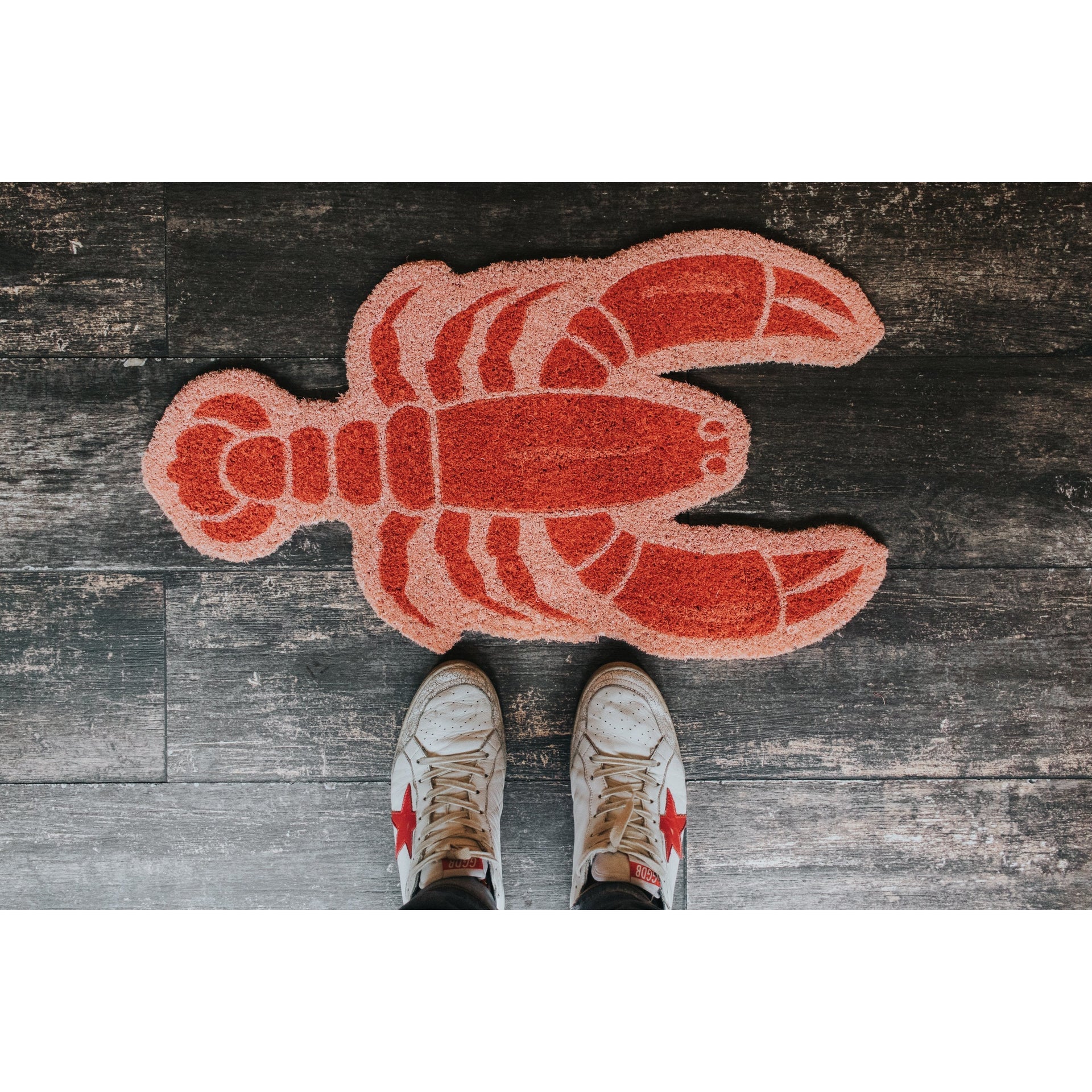 Paillasson Homard – Fisura – vue 3