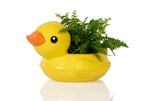 Topf Floaty Ente