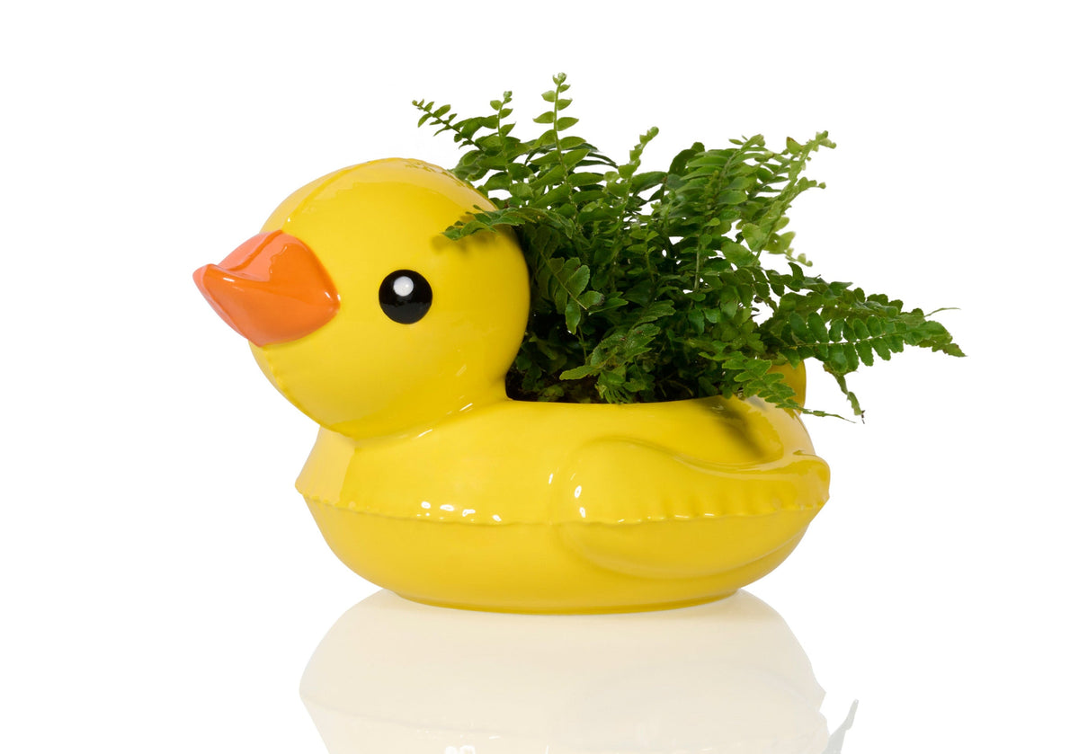 Topf Floaty Ente