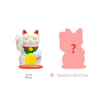 mini chat chanceux boite mystere