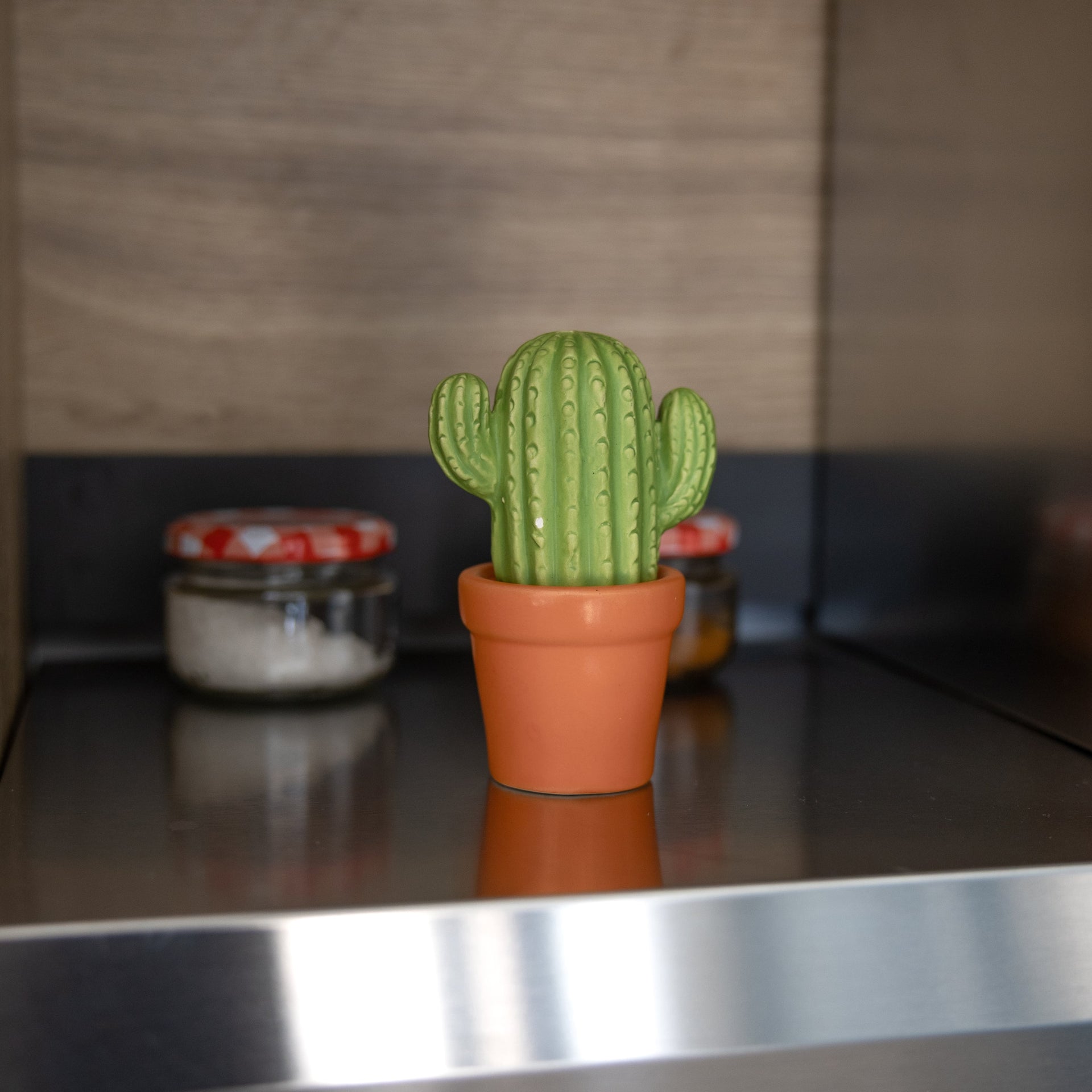 Sel et poivre Cactus