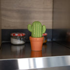 Sel et Poivre Cactus – Fisura – vue 5