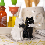 Sel et Poivre Chats – Fisura – vue 5