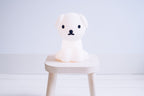 Veilleuse First Light Rechargeable Miffy & Friends