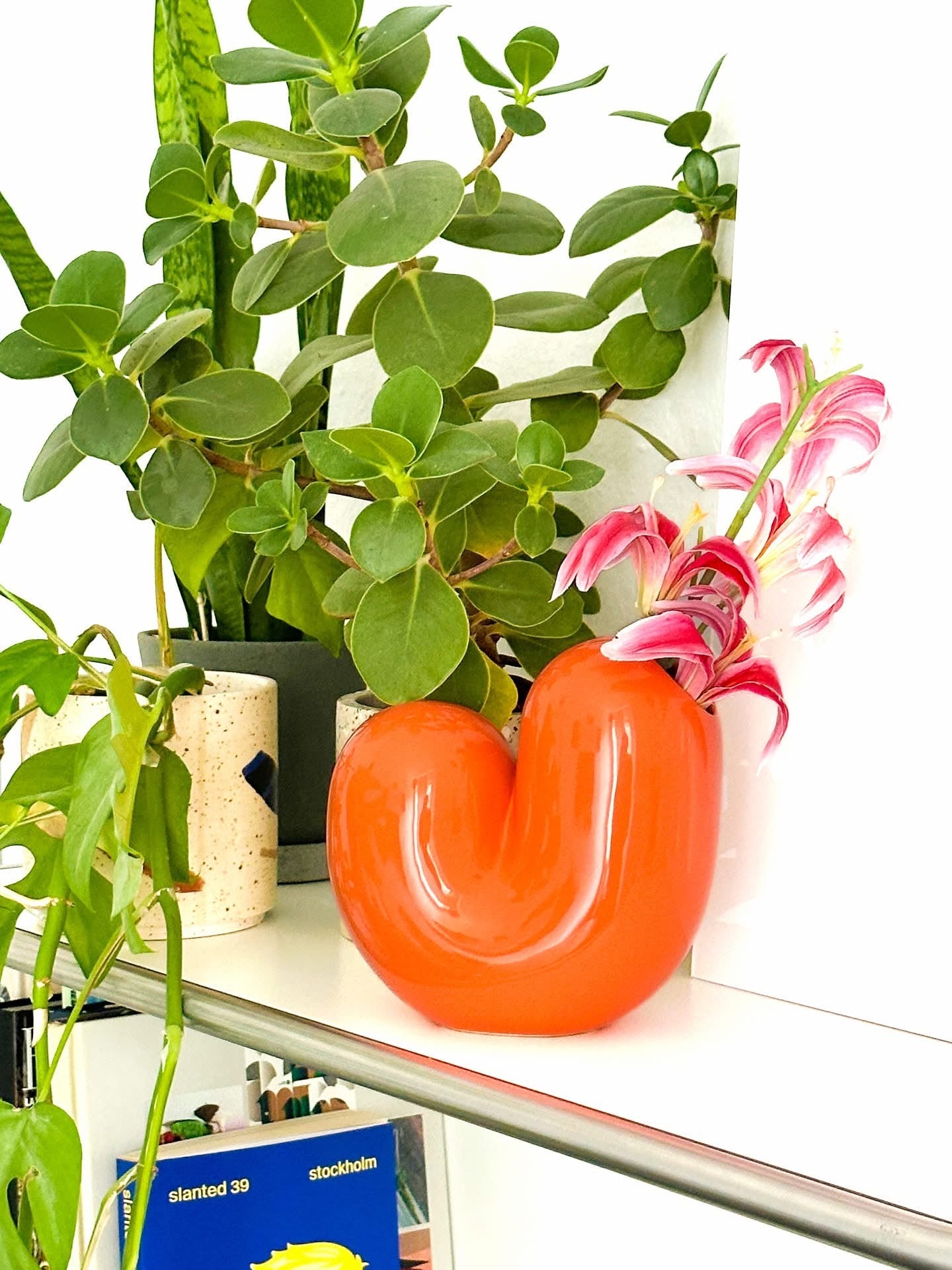 Vase Sulcus | Designproducten en originele cadeaus