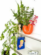 Vase Sulcus | Designproducten en originele cadeaus