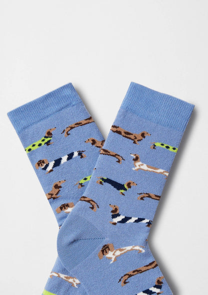 BePets Socks