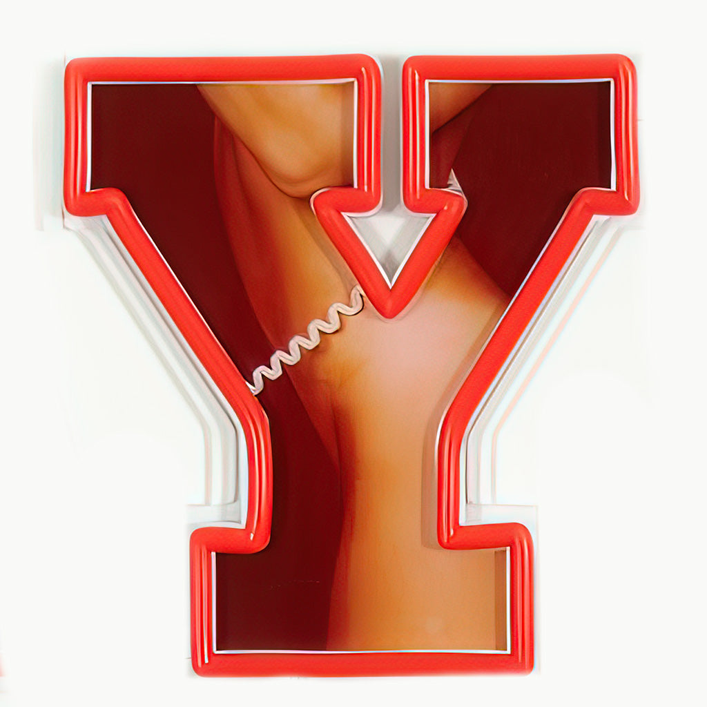 Playboy X Locomocean – Playboy Symbolwort Rotes Neon LED zur Wandmontage