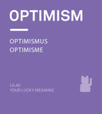 bougie chat chanceux lilas donkey