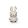 Tirelire Lapin Miffy Warm Edition S