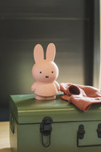 Tirelire Lapin Miffy Warm Edition