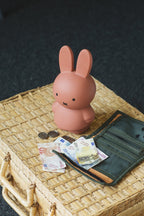 Tirelire Lapin Miffy Warm Edition