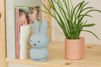 Tirelire Lapin Miffy Warm Edition