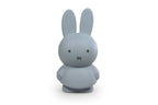 Tirelire Lapin Miffy Warm Edition