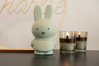 Tirelire Lapin Miffy Warm Edition S