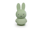Tirelire Lapin Miffy Warm Edition