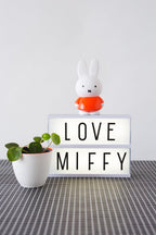 Miffy Hasen-Spardose S