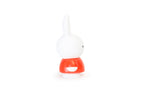 Tirelire Lapin Miffy M