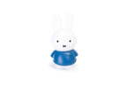 Tirelire Lapin Miffy M