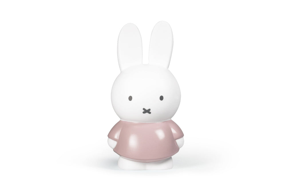 Tirelire Lapin Miffy M
